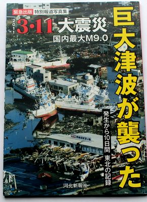 東日本大震災 巨大津波が襲った C131-2